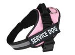 Pet chest strap with dog leash