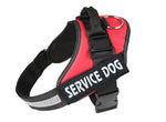 Pet chest strap with dog leash