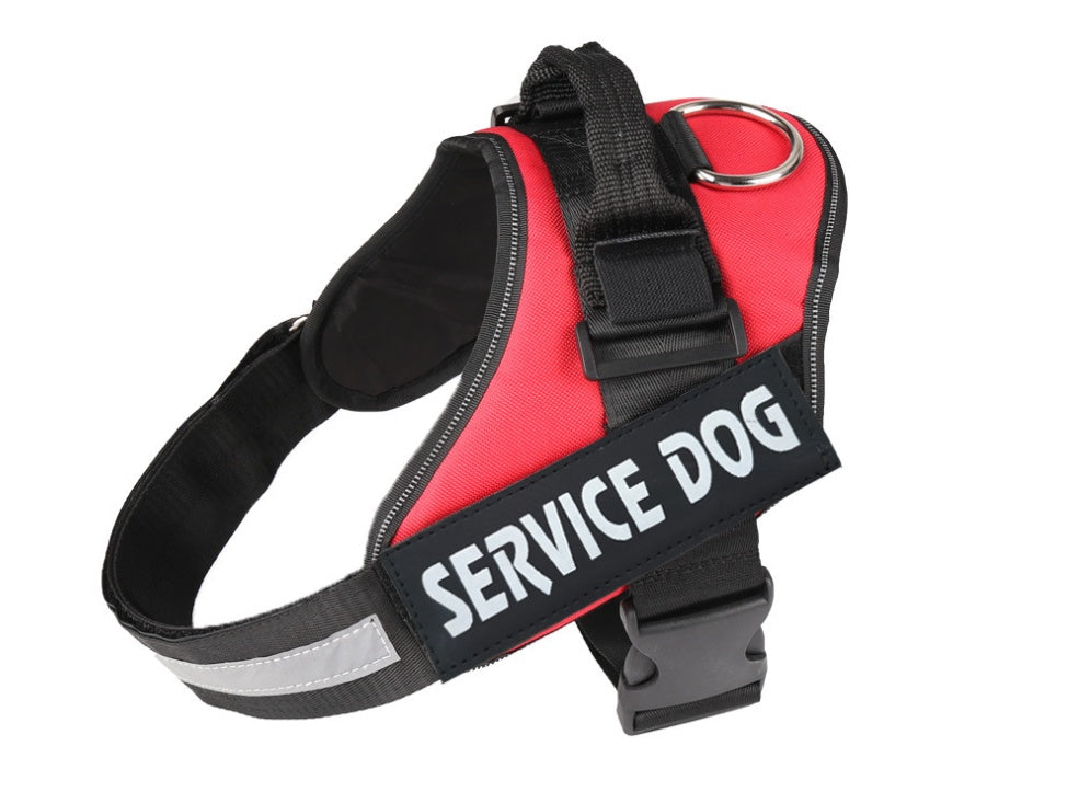 Pet chest strap with dog leash