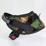 Pet chest strap with dog leash
