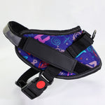 Pet chest strap with dog leash