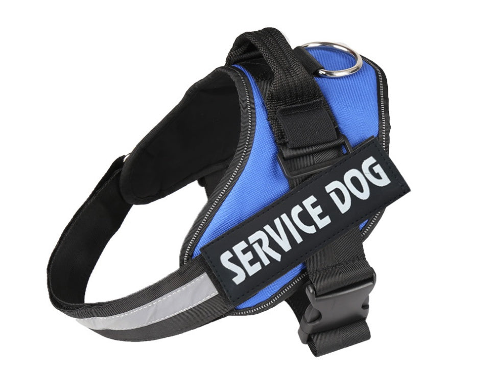Pet chest strap with dog leash