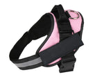 Pet chest strap with dog leash