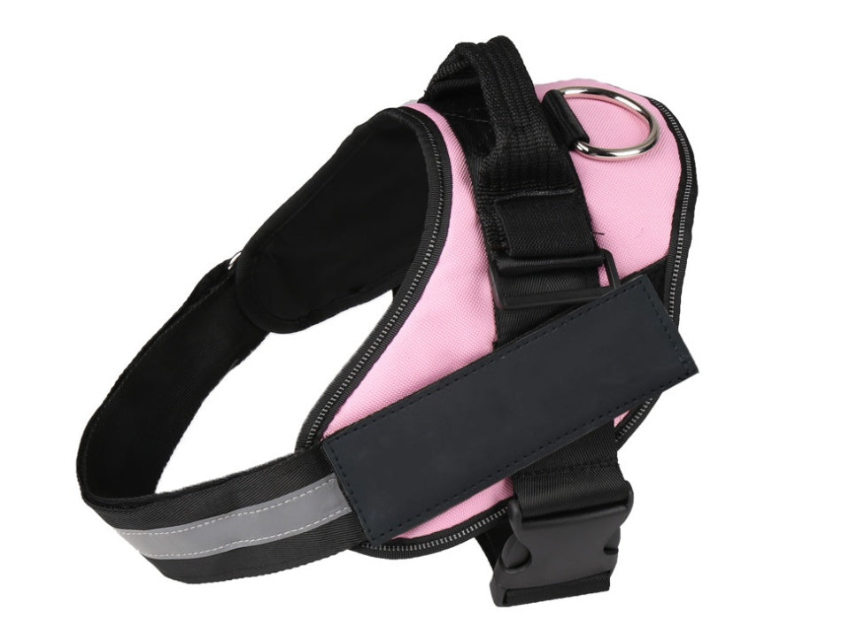 Pet chest strap with dog leash