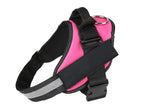 Pet chest strap with dog leash