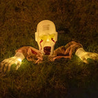 Creepy Crawly-1PC