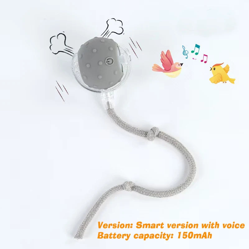 New Dog Interactive Ball Toy,Automatic Rolling Dog Ball Rechargeable,Smart Puppy Interactive Toy,Intelligent Balls Toy for Dogs