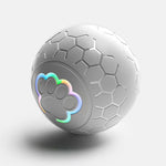 Smart Dog Toy Ball Electronic Interactive Pet Toy Ball USB Automatic Bouncing Rolling Toy Ball With RGB Lights Puppy Cat Product