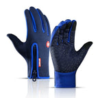 Upgrade Blue / L