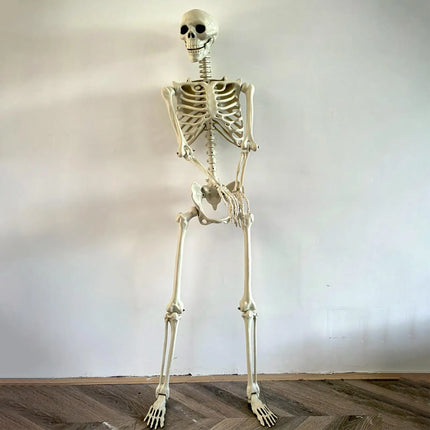 Halloween Skeleton Life Size Human Skeleton with Posable Joints Weather-Resistant Garden Decor Spooky Photo Props for Holiday