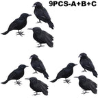 ABC 9 PC / S