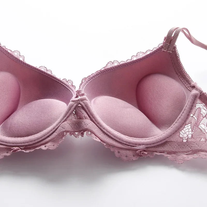 1 Set Elegant Erotic Lace Embroidery Breathable Fabric Lingeries : Push-Up Bra, Low Waist Sheer Panty - Ultimate Valentine's Day