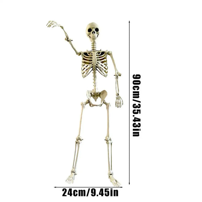 Halloween Skeleton Life Size Human Skeleton with Posable Joints Weather-Resistant Garden Decor Spooky Photo Props for Holiday
