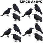 ABC 12 PC / S
