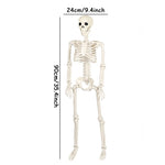40/90cm Halloween Skeletons Fake Full Body Skull Bones Movable Halloween Party Decor for Home Bar Haunted House Horror Props