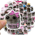 56PCS Sad Hamster Meme Cute Mouse Fun Pattern Sticker Aesthetic Kawaii Decals Cute Cartoon Laptop Luggage Bicycle Diary Stickers