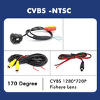 CVBS 720P